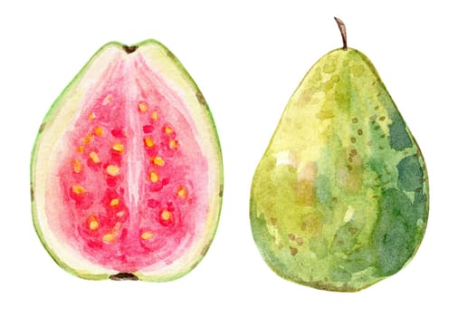 Watercolor guava fruit set illustration isolated on white background