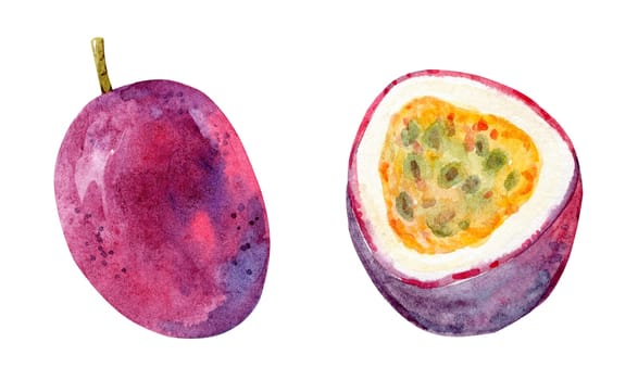 Watercolor passion fruit set illustration isolated on white background