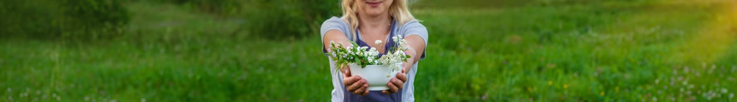 A woman in the garden collects medicinal herbs for tinctures and alternative medicine. Selective focus. Nature.