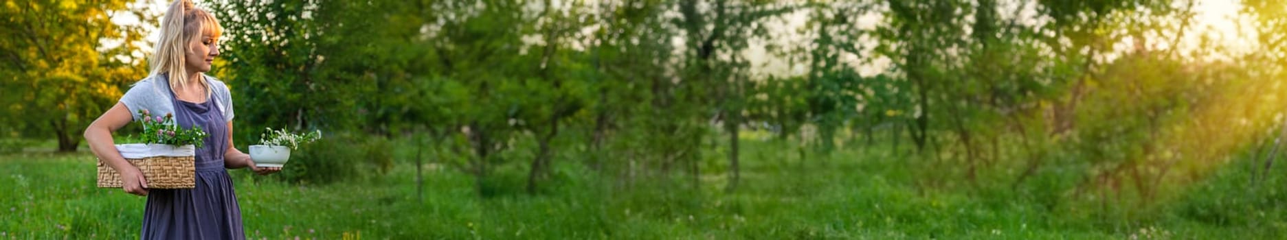 A woman in the garden collects medicinal herbs for tinctures and alternative medicine. Selective focus. Nature.