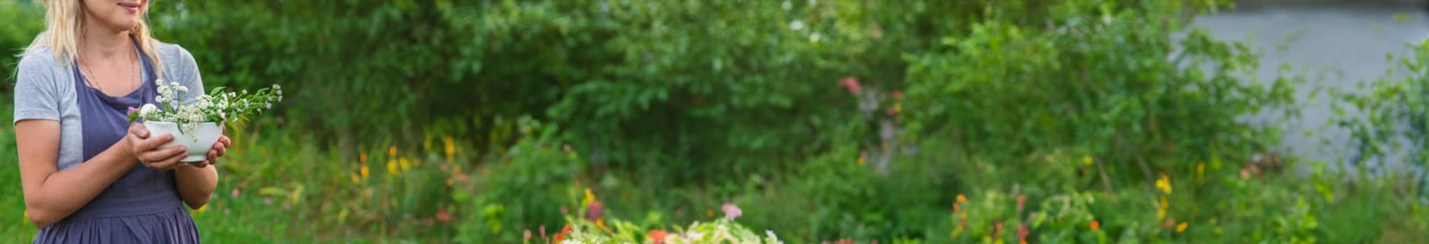 A woman in the garden collects medicinal herbs for tinctures and alternative medicine. Selective focus. Nature.