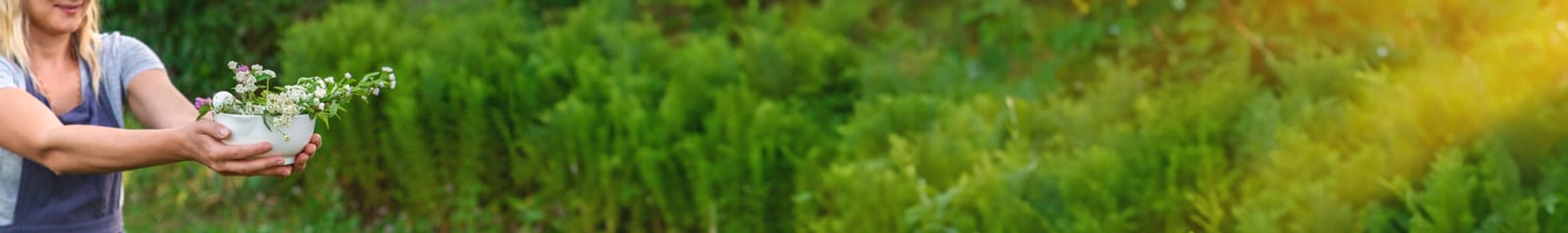 A woman in the garden collects medicinal herbs for tinctures and alternative medicine. Selective focus. Nature.