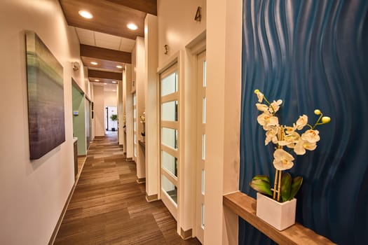 Modern medical facility interior in Fort Wayne, Indiana showcasing a well-lit corridor with frosted glass doors, abstract wall art, and decorative elements, 2016