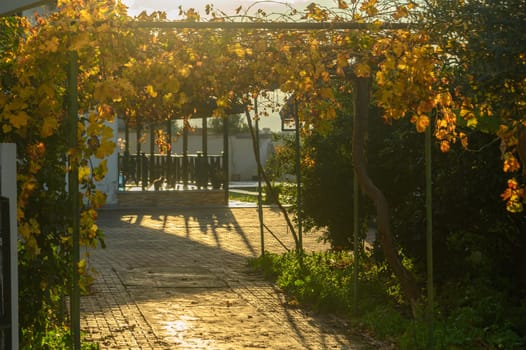 street in a village in winter in Cyprus 3