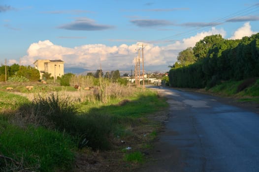 street in a village in winter in Cyprus