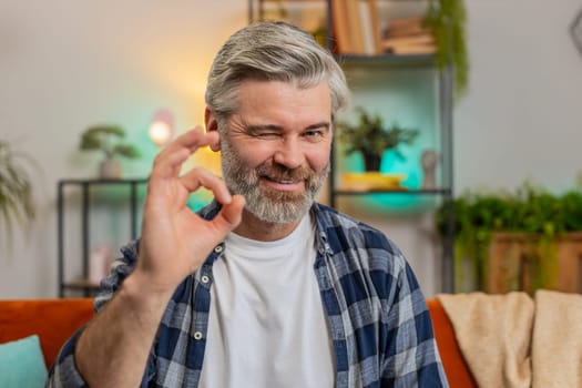 Portrait of smiling mature middle-aged man showing okay with one hand sits on sofa in living room. Successful Caucasian elderly male gesturing like Ok positive approve and looking at camera at home