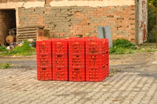juicy fresh tangerines in boxes for sale in Cyprus in winter