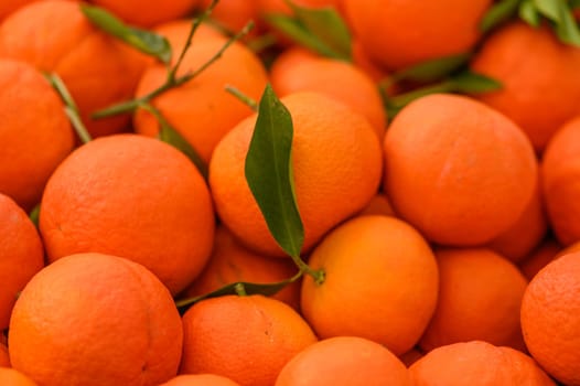 juicy fresh tangerines in boxes for sale in Cyprus in winter 4