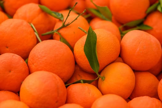 juicy fresh tangerines in boxes for sale in Cyprus in winter 5