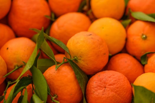 juicy fresh tangerines in boxes for sale in Cyprus in winter 6