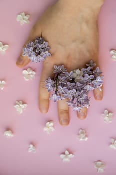 Creative Composition background made of female hand holding beautiful spring pink and white lilac flowers. Backdrop Mockup card invitation greeting card postcard copy space template blank. Springtime