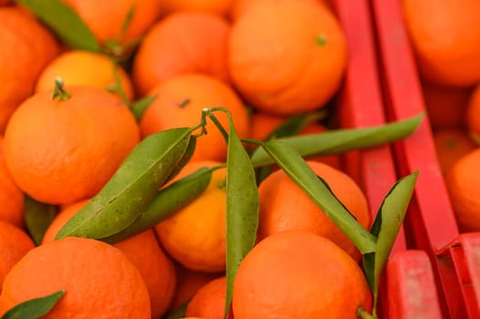 juicy fresh tangerines in boxes for sale in Cyprus in winter 17