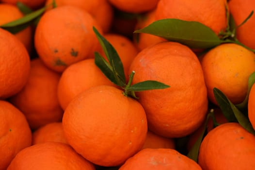 juicy fresh tangerines in boxes for sale in Cyprus in winter 20