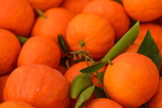 juicy fresh tangerines in boxes for sale in Cyprus in winter 26