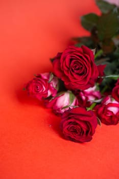 Stunning bouquet of red roses on red background. Perfect for Valentines Day, love, romance, passion, and floral arrangements. Vibrant roses convey intense emotions and timeless love symbol.