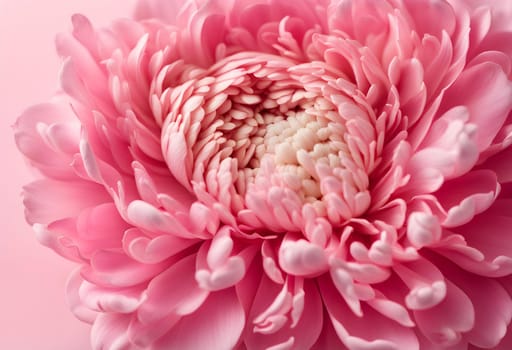 Pink flower bud petals close-up. Ai generated