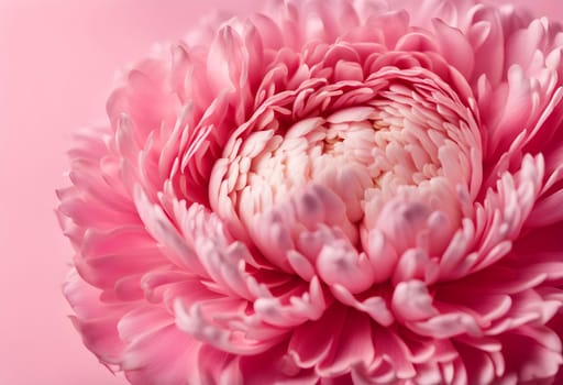 Pink flower bud petals close-up. Ai generated