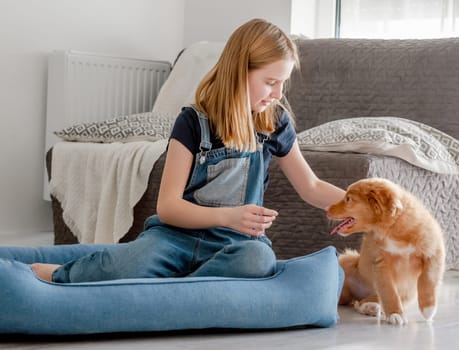 Small Girl With Toller Puppy Sits In Blue Dog Bed, Nova Scotia Duck Tolling Retriever