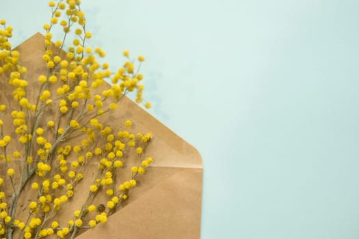 A sprig of Mimosa in a craft envelope on a mint background. Spring concept. Happy spring. A top view of a flat lay, place for text.
