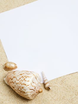 Blank paper on white beach sand with conchs shells background.