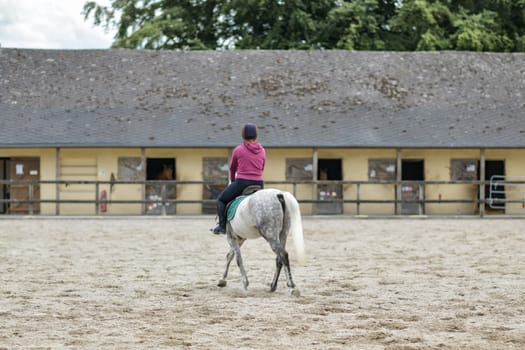 Horsewoman training at the court