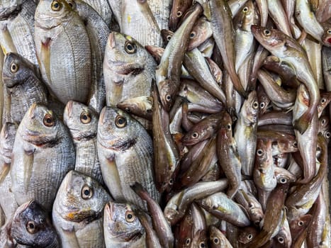 Close-up of fresh raw fish in ice on the counter at a fish market