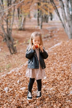 Little girl eats an apple while standing in the autumn forest. High quality photo