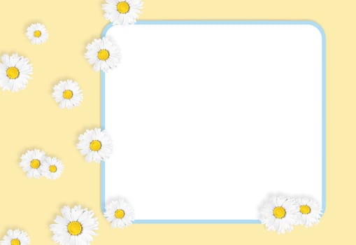 Flat lay composition with fresh chamomiles and white frame on yellow background, mock up. Space for text.