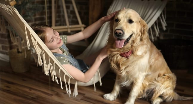 Child girl petting golden retriever dog lying in hammock at home and smiling. Pretty preteen kid with purebred pet doggy in loft room