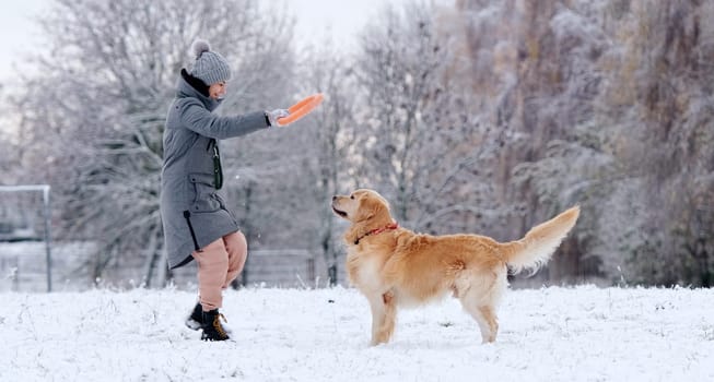Girl Throwing Ring Toy To Adorable Golden Retriever Dog On A Snow Field In Winter