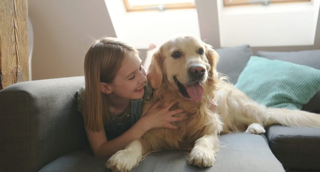 Child girl hugging golden retriever dog lying on sofa at home and smiling. Pretty preteen kid petting purebred pet doggy in loft room