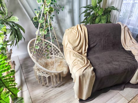 Stylish living room interior with cozy sofa, houseplant in winter garden and elegant curtains