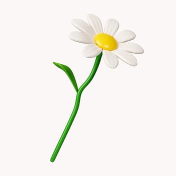 3d daisies flowers .icon isolated on white background. 3d rendering illustration. Clipping path..