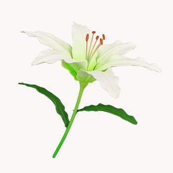 3d lily. icon isolated on white background. 3d rendering illustration. Clipping path..