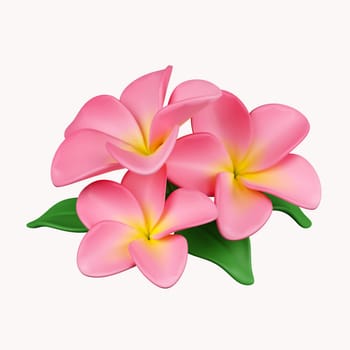 3d frangipani flowers .icon isolated on white background. 3d rendering illustration. Clipping path..