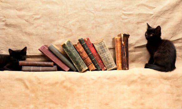 Two small black kittens near old books on canvas background
