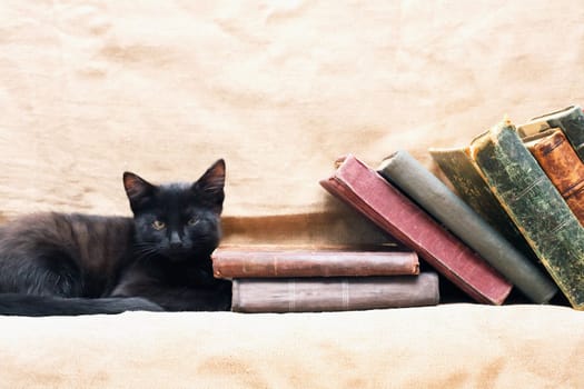 sЫall black kitten near old books on canvas background