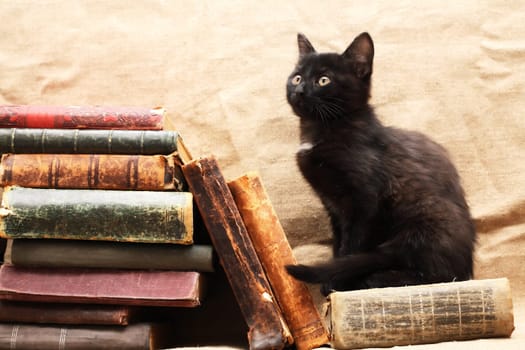 Small black kitten near old books on canvas background