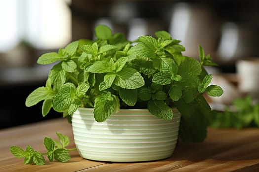 Fresh mint in a white pot in the kitchen.