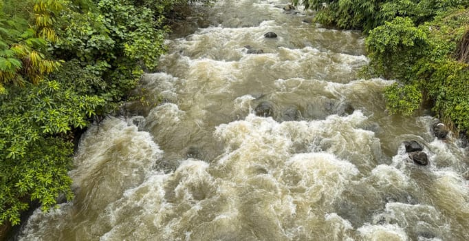 Natural river stream in Bogor tropical forest in Asia, beautiful scenery of water flowing