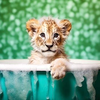 A delightful lion cub enjoys a bubbly bath, against a vibrant backdrop, perfect for any creative project.