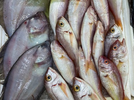 Close-up of fresh raw fish in ice on the counter at a fish market