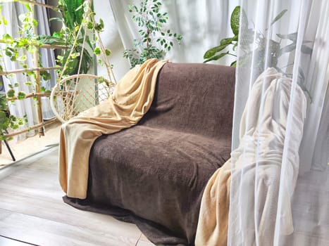 Stylish living room interior with cozy sofa, houseplant in winter garden and elegant curtains