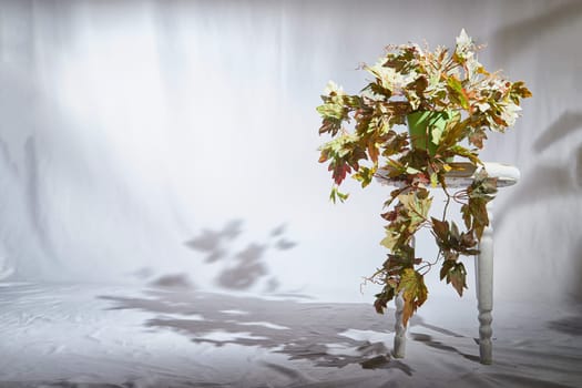 A potted plant with vibrant autumn leaves is bathed in soft sunlight, casting a delicate shadow on a smooth surface within indoor environment. Background, texture, copy space