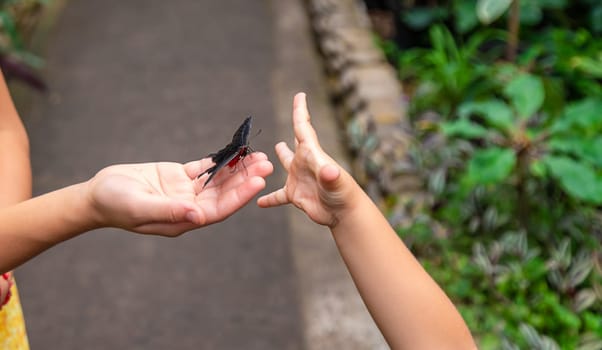 A child holds a beautiful butterfly. Selective focus. Nature.