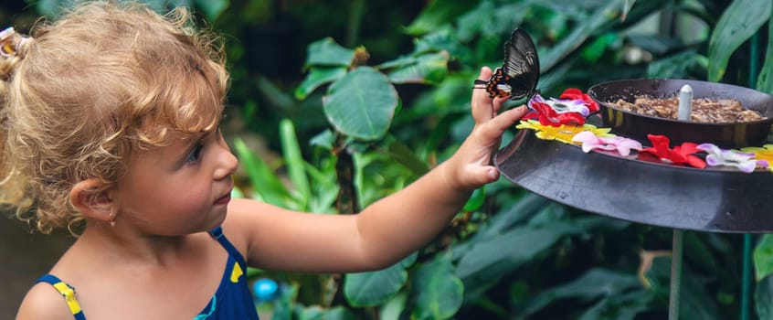 A child holds a beautiful butterfly. Selective focus. Nature.