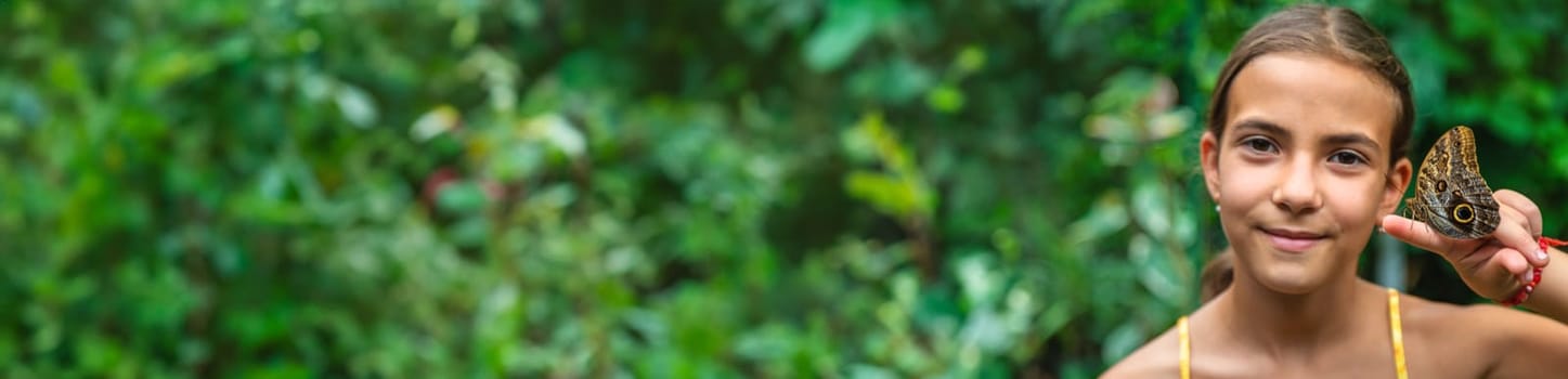 A child holds a beautiful butterfly. Selective focus. Nature.