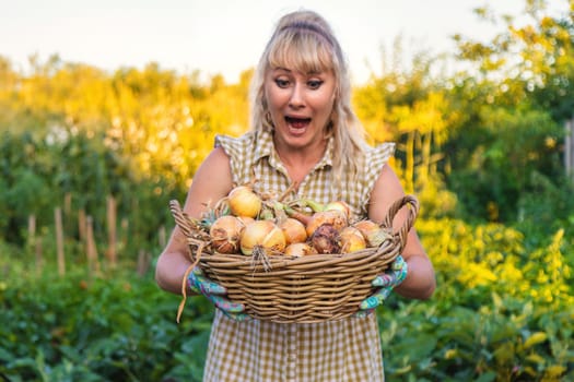 Farmer harvesting onions in the garden. Selective focus. Food.