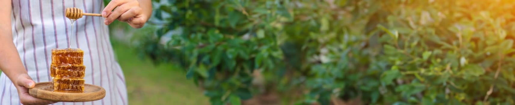 A woman holds honey in the garden. Selective focus. Nature.