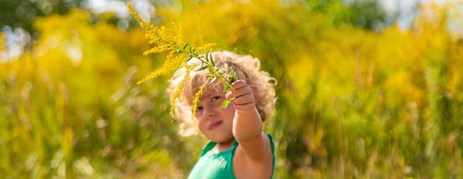 A child is allergic to ragweed blooming in the park. Selective focus. Nature.